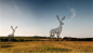 #趣味#鹿形的电线塔概念，创意与实用性一举两得，一整队像是在迁徙的鹿群被电线连接起来，那是怎么样的一个风景？来自俄罗斯的创意团队DesignDepot。