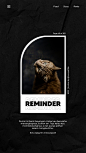 (11) Pinterest