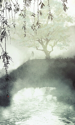 幂茶采集到杏花酌微雨