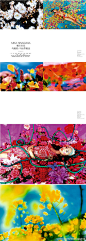 蜷川实花 的『花』(679×1902)