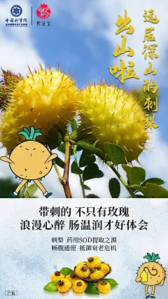 平面约设计：sdxc0006   益生元 讲课图 活动 过年 倒计时 早安 晚安 元旦 招商 喷绘  KT版  灯箱   广告  宣传手册  折页   腰线   产品拍摄   详情页  淘宝主图  H5  官网搭建  发圈文案  品牌故事  微商美工  短视频   面膜   营养品  母婴  尿不湿  箱包  保健  口红  防晒霜  洁面   面霜  卸妆   眼霜  凝胶  隔离   睫毛膏  乳胶枕  乳胶   元旦  腊八节  小寒  大寒  除夕 春节  立春  元宵节  情人节  妇女节 