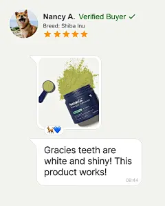 Photo by Petlab Co. on September 14, 2025. 可能是包含下列内容的图片：美发产品、宠物饲料、油膏、牙刷和上面的文字是“Nancy A. Verified Buyer Breed: Shiba Breed:ShibaInu Inu PetLabCo. PaltobCoranesil eiright Advanced MEDUMDIOGS Gracies teeth are white and shiny! This product works! 08:44”.