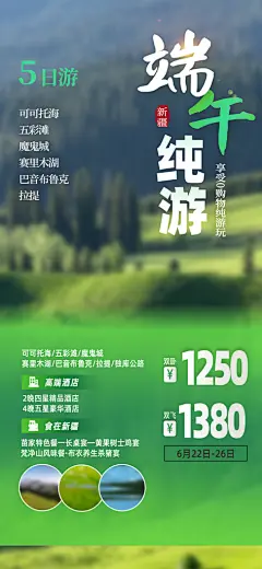大气端午节旅游粽子宣传海报