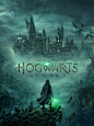 Hogwarts Legacy Deluxe Edition on Behance