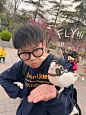 ❕公园里的鸽子也太社牛了
