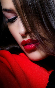 皓齿红唇花容月貌