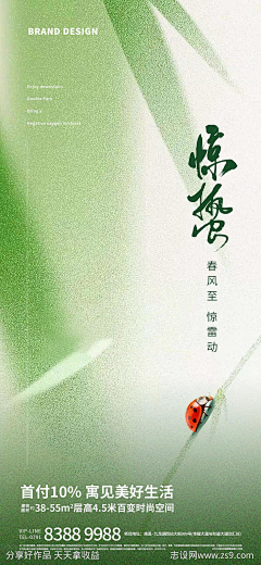 打困哥采集到地产节日/节气稿