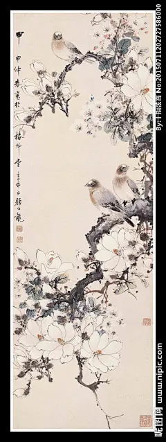 玉兰枝鸟