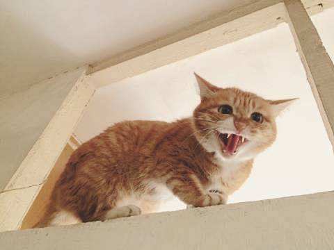 点击查看源网页