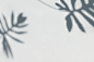 79C2B411-FE6C-42d7-9309-B2C7B00843C9