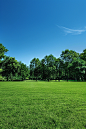 ls7623_A_large_grassy_field_with_trees_in_the_background_under__7942e6f4-85a1-43bf-81c0-7a4baf7f84bf