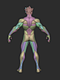 Stylized Warrior Anatomy Blockout