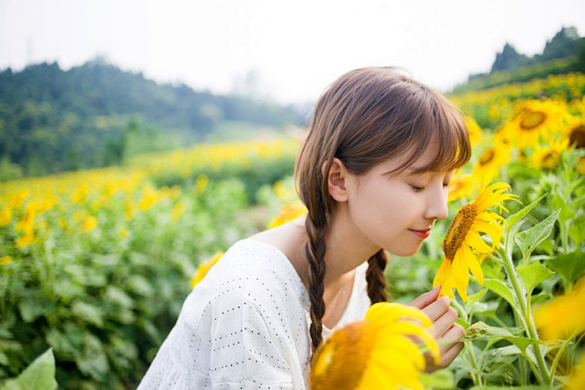 宜昌郭家湾向日葵花海 摄影师许飞人像摄影...