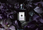 JO MALONE【芳醇古龍水系列】有別於一般的香水，散發著馥郁的珍貴素材香氣，明年一月魅力上市 | ::.UrCosme.:: 美妝新聞頻道 | JO MALONE 的美妝新聞 | 2015年11月13日