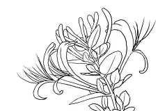 金银花  - 源文件下载【酷图网】金银花,园林花卉,花朵,花卉,花草,花蕊,园林风景,花卉大观园,手绘金银花,线描金银花,