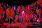 teamLab 油罐中的水粒子世界