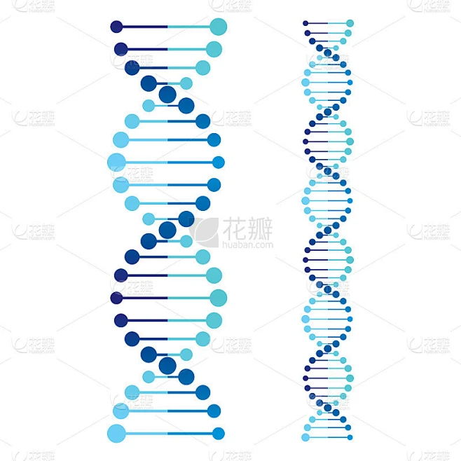 DNA的图标集。生命基因模型生物密码遗传分子医学符号插图矢量素材-花瓣网