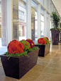 Integrated Planters
