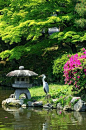 japanese garden: 