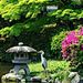 japanese garden: 