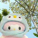 用户3C2j6nF0