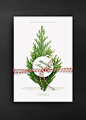 松树枝条 圣诞元素 圣诞狂欢 圣诞节主题海报设计PSD