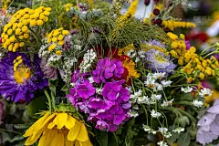 由鲜花、香草和水果组成的花束是夏季的象征