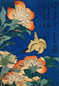 花鸟图浮世绘 （葛饰北斋） ​​​​