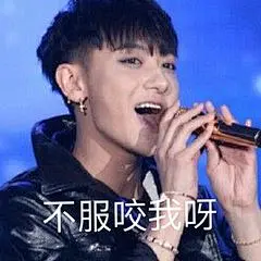 黄子韬表情包_360图片