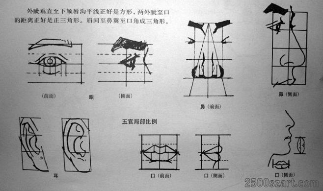 绘画基础教程《透视与比例》(2) - 素...