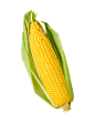 玉米-png