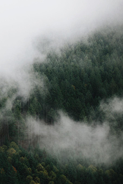 白幻月采集到风景