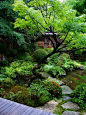 06-16 宝泉院：鶴亀庭園　百寺百景ギャラリー