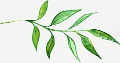 手绘花草 花卉 花卉设计 花草 飘落 元素 免抠png 设计图片 免费下载 页面网页 平面电商 创意素材