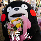 #情人节# #搞笑# #爱情#熊本熊表情包#