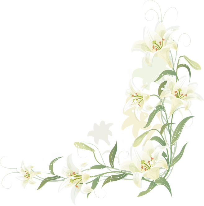 简水仙花