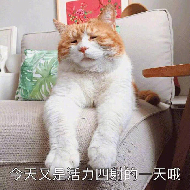 来自分享