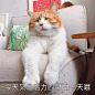 来自分享