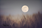 Photograph Super Moon AZ by Justin Ashton on 500px