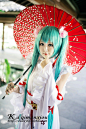 cosplay服装 VOCALOID 落樱MIKU 初音未来 同人 超华丽cos服女装-淘宝网