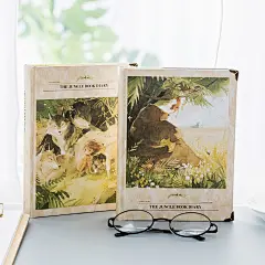 狼少年丛林插画彩页手账本笔记本日记本可爱日程计划本横线硬面厚-淘宝网