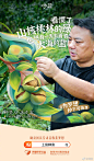 淘宝的微博_微博