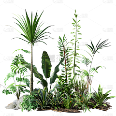 K9ERJlcn采集到植物/氛围/装饰素材