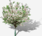 白色小花树林装饰高清素材 树林 白色 装饰 免抠png 设计图片 免费下载