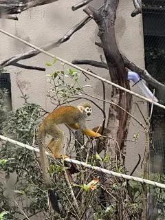不白来噢 都不白来 - 小红书