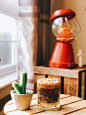 blur-cactus-plant-candies-1322031