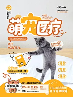 宠物商店海报寄养兽医狗猫粮食柯基