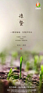惊蛰
