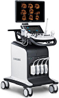 Samsung WS80A OB/GYN Ultrasound with Elite Performance Package