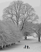 12月16日在英格兰北部的曼彻斯特附近的莱姆公园，人们和他们的狗走在雪地上